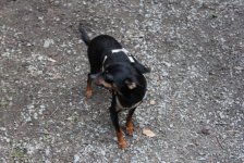 53_gc_stammtisch_78_20150506